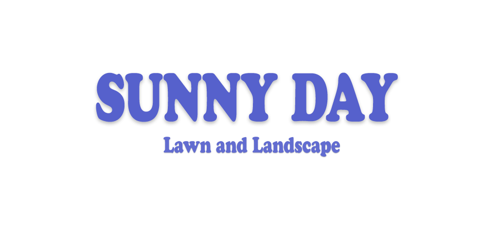 Sunny Day